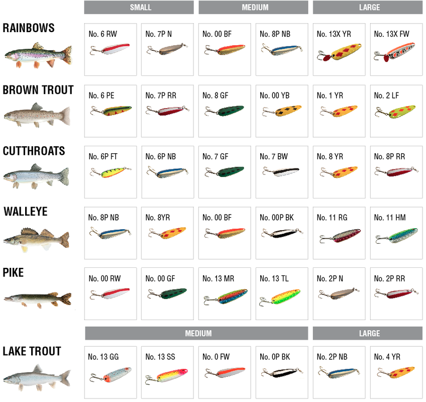 Soft Plastics Archives - GSO Fishing - Premium Guided Trips & Lures
